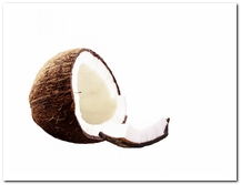 die Kokosnuss - kokos