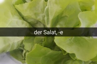 der Salat